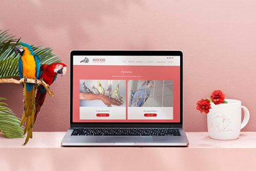 Avicoo Avicoo website