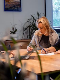 DST Webdesign in Erpe-Mere